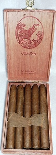 画像2: オリファント・コロナ (2)