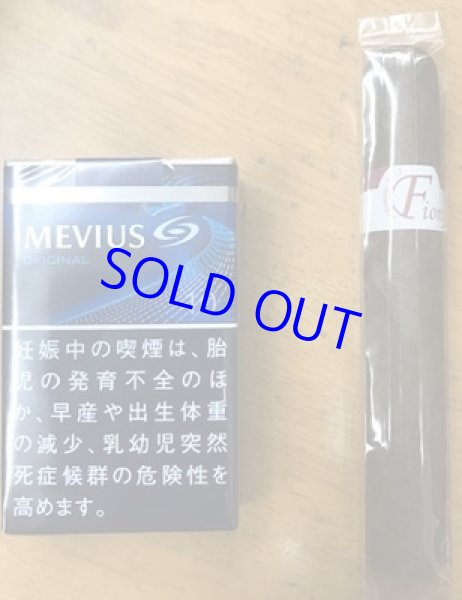 画像3: フィオニー　ロブスト (3)