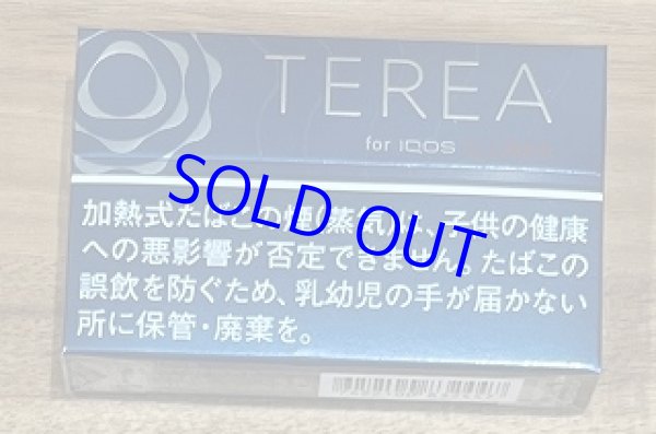 画像1: テリア・リッチレギュラー (アイコスイルマ専用) (1)